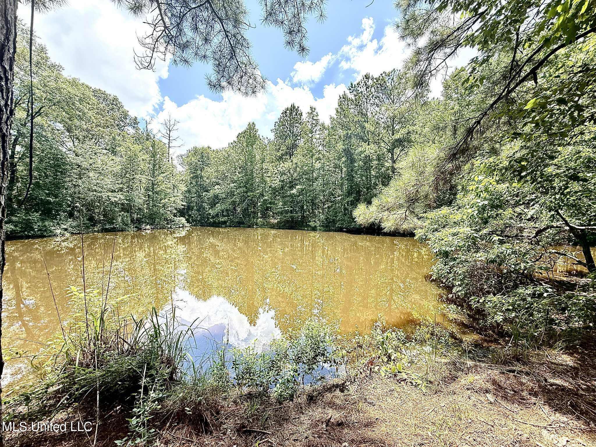 Old Jackson Road Terry, MS 39170 - Photo 1 of 21 Unknown-66