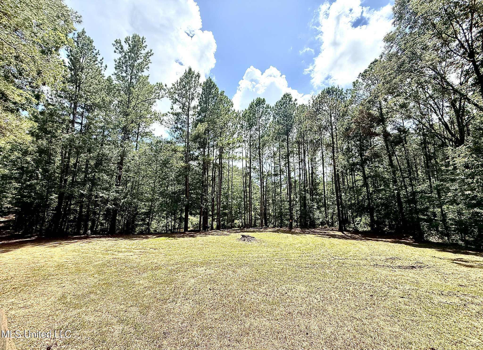 Old Jackson Road Terry, MS 39170 - Photo 11 of 21 Unknown-86