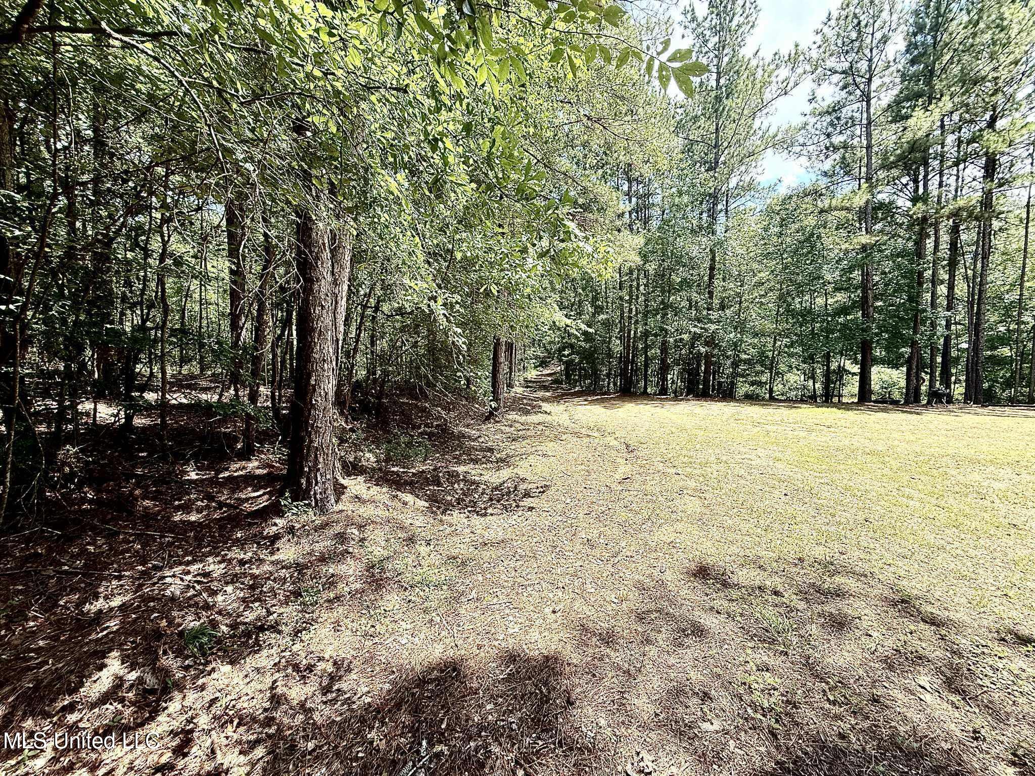 Old Jackson Road Terry, MS 39170 - Photo 12 of 21 Unknown-79
