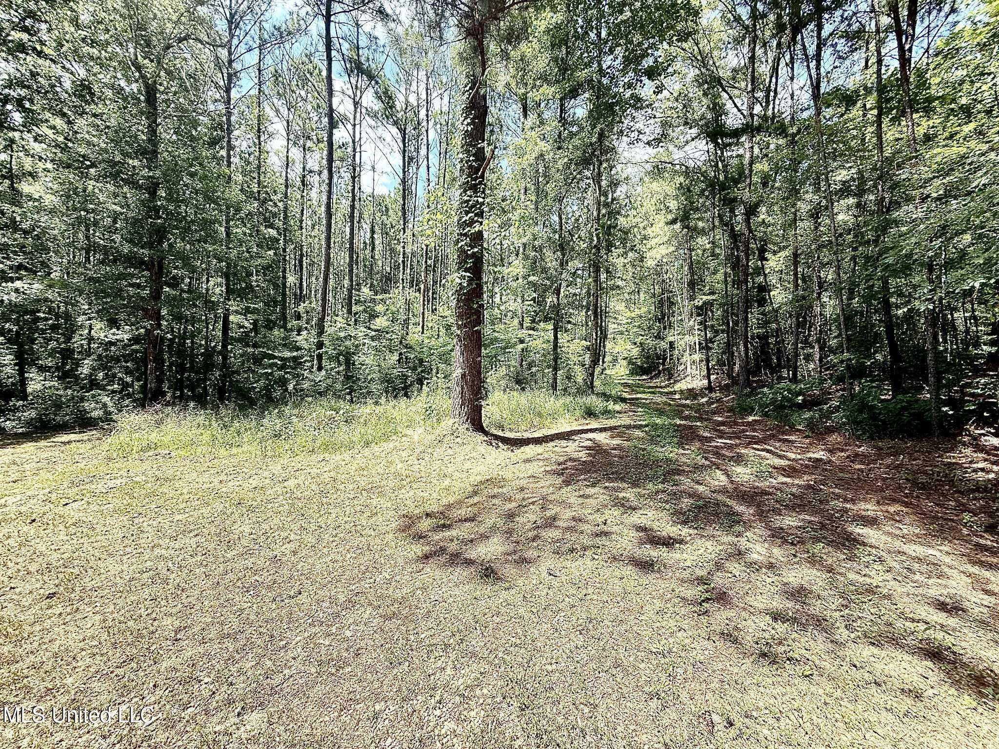 Old Jackson Road Terry, MS 39170 - Photo 14 of 21 Unknown-81