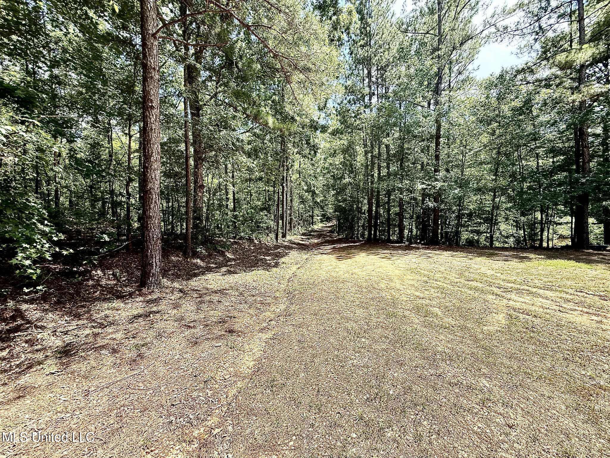 Old Jackson Road Terry, MS 39170 - Photo 15 of 21 Unknown-82