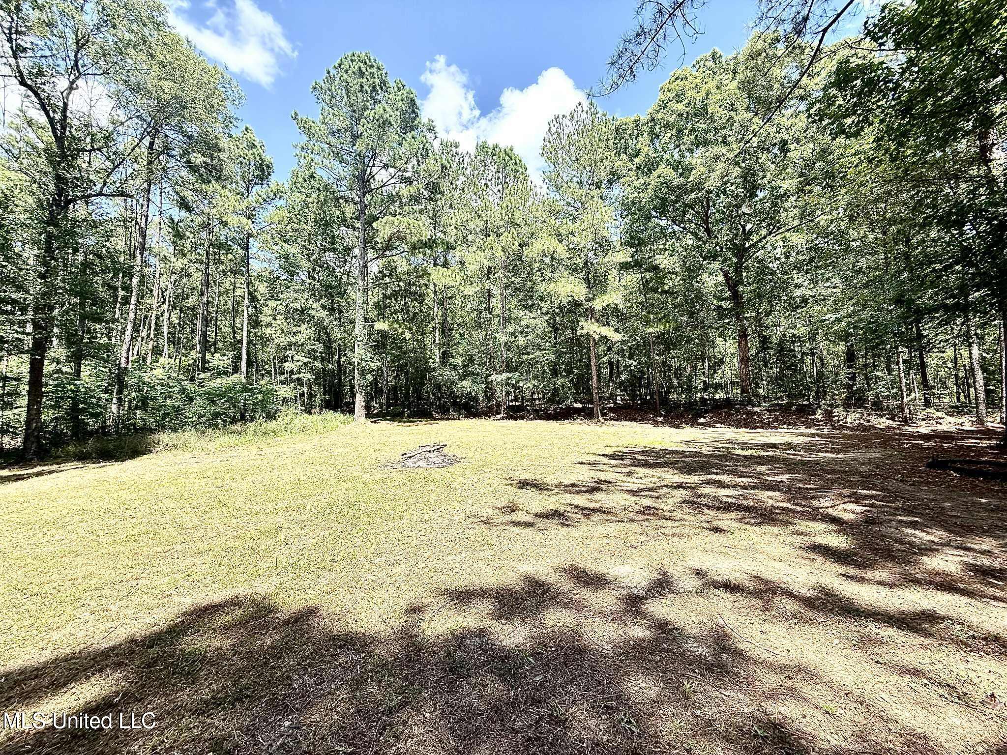 Old Jackson Road Terry, MS 39170 - Photo 3 of 21 Unknown-72