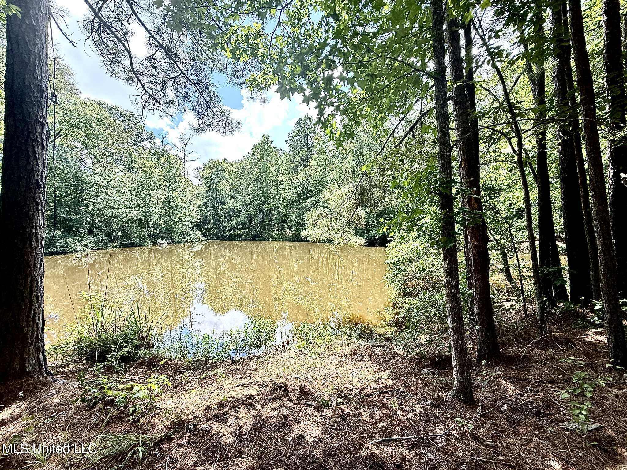 Old Jackson Road Terry, MS 39170 - Photo 6 of 21 Unknown-67