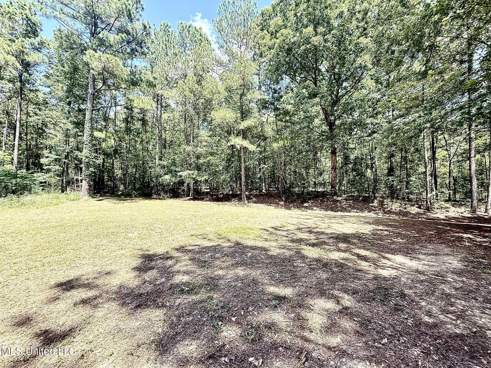 Old Jackson Road Terry, MS 39170 - Photo 8 of 21 Unknown-73