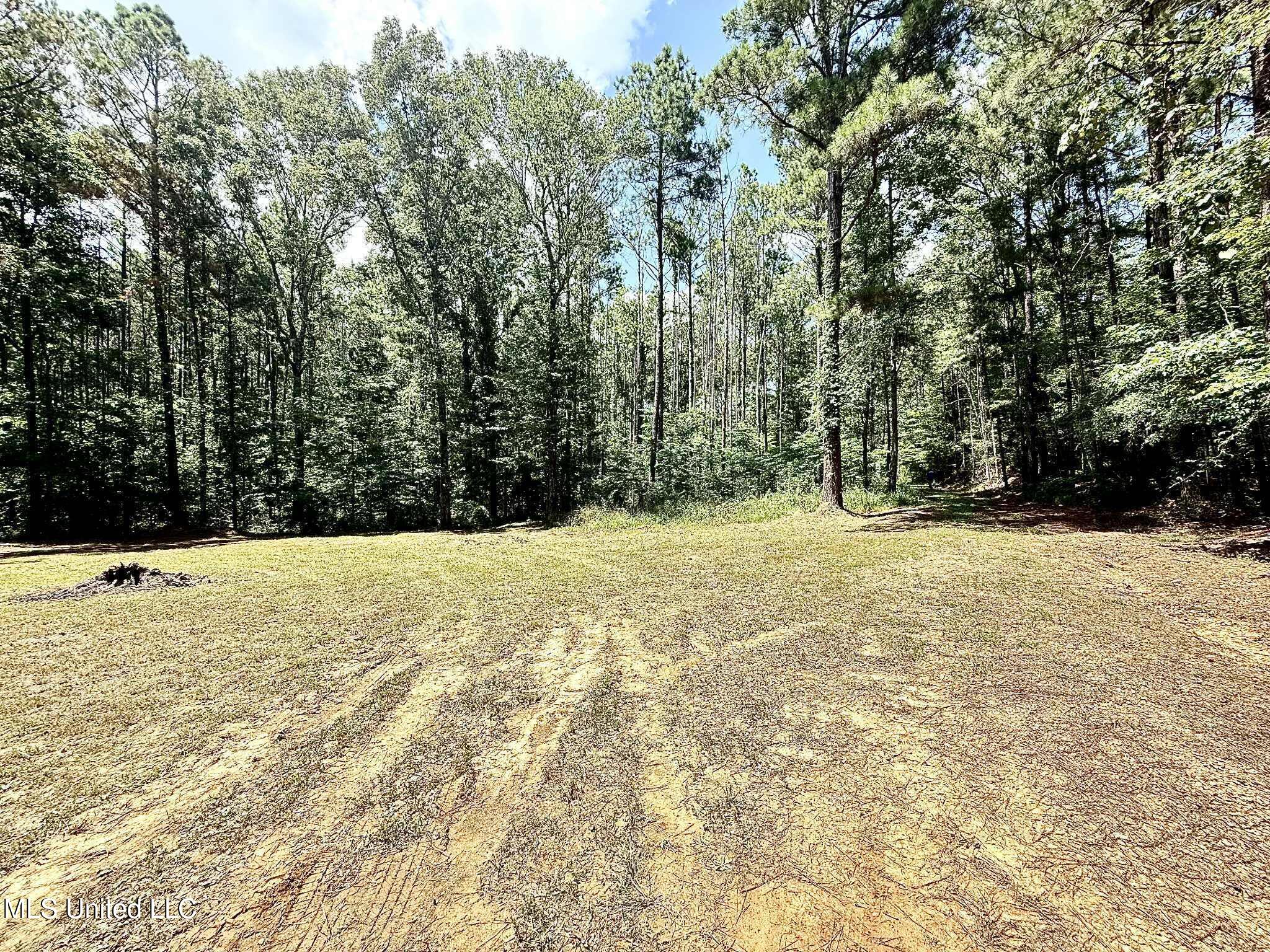 Old Jackson Road Terry, MS 39170 - Photo 9 of 21 Unknown-77