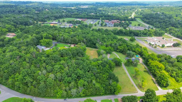an aerial view of residential houses with outdoor space and trees