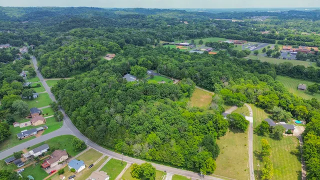 an aerial view of green landscape with trees houses and mountain view