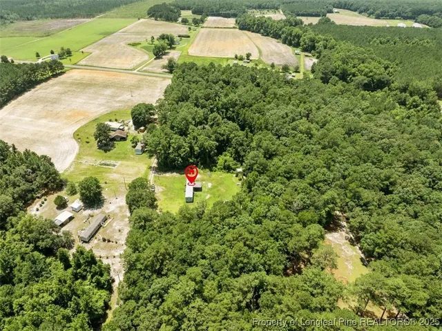 $60,000 | 145 Opossum Lane, Harrells, NC 28444