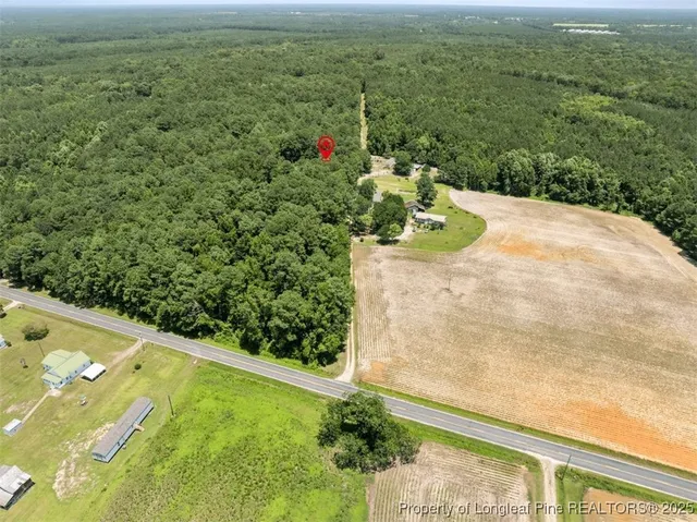 $60,000 | 145 Opossum Lane, Harrells, NC 28444