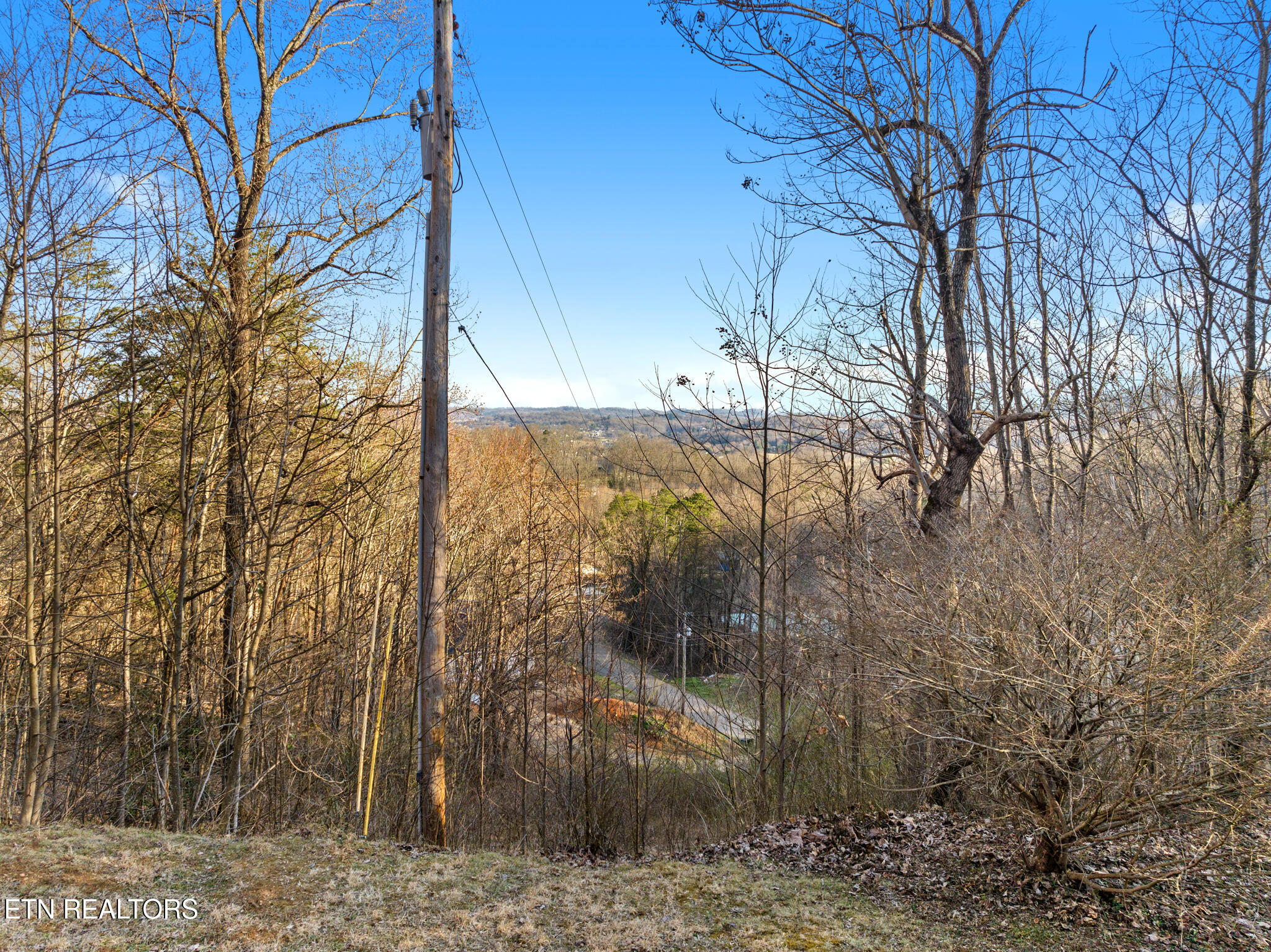 997 Tom Treece Road Morristown, TN 37814 - Photo 19 of 19 Tom Treece Dr-19