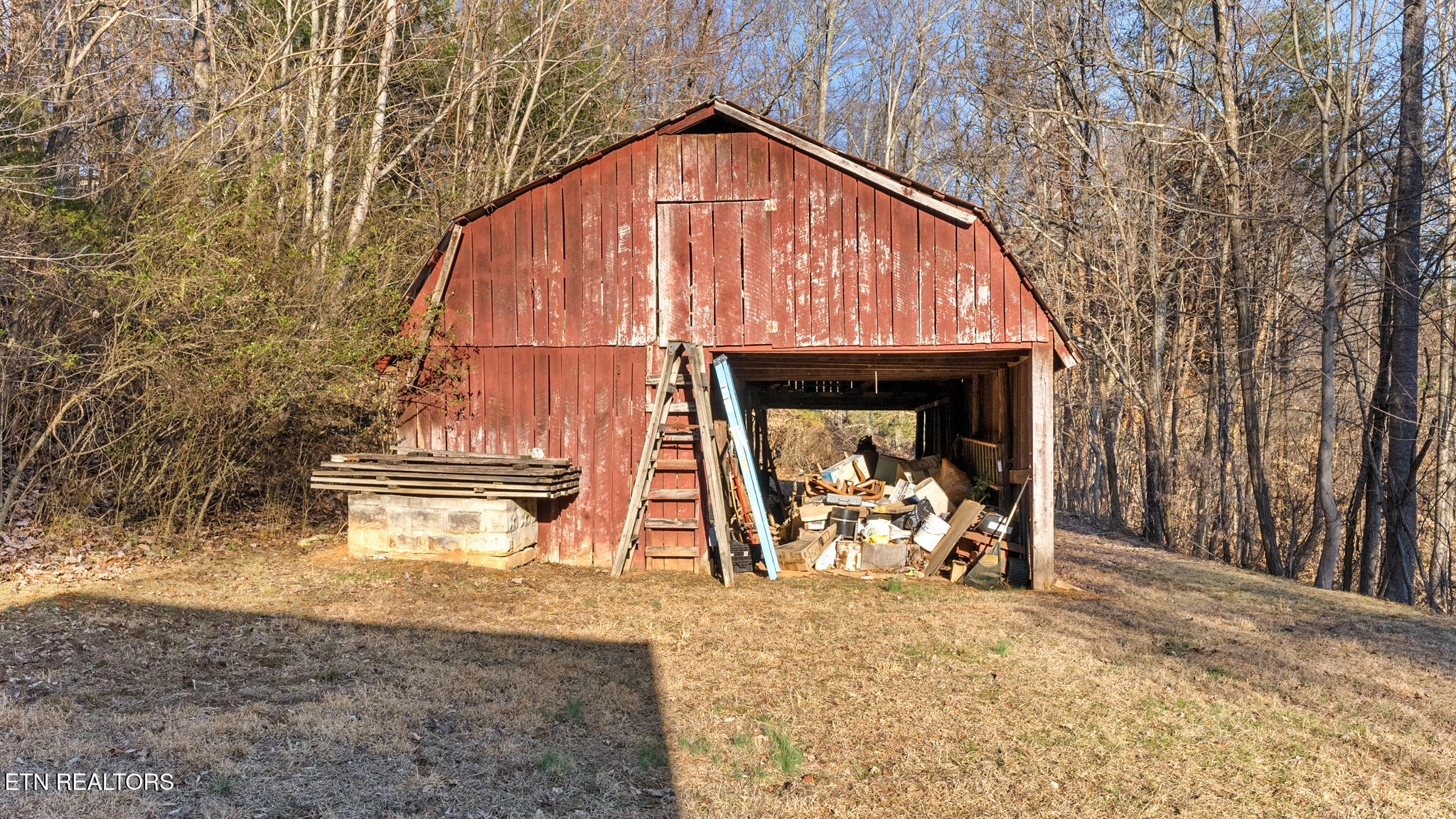 997 Tom Treece Road Morristown, TN 37814 - Photo 7 of 19 Tom Treece Dr-7