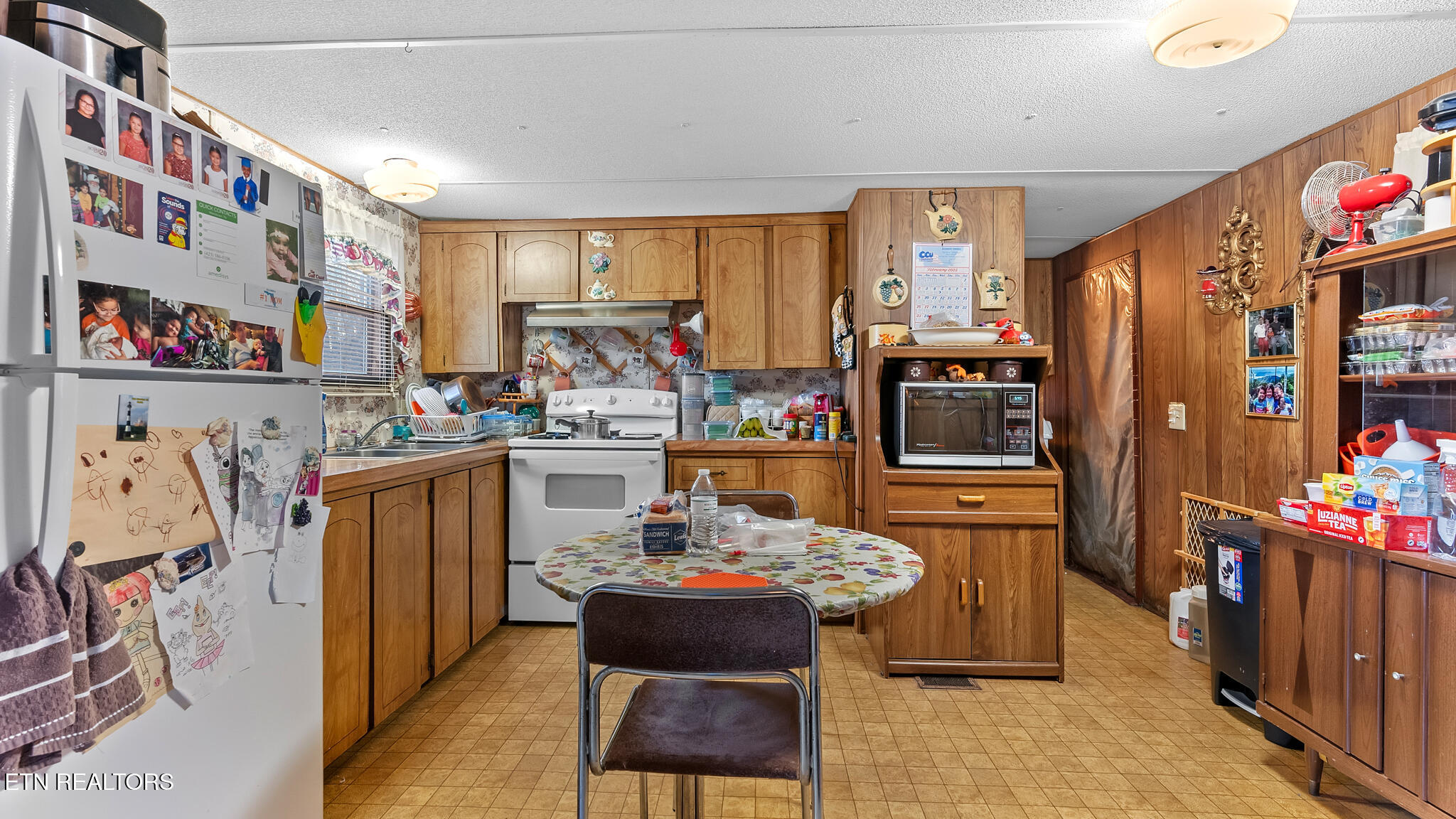 997 Tom Treece Road Morristown, TN 37814 - Photo 10 of 19 Tom Treece Dr-10