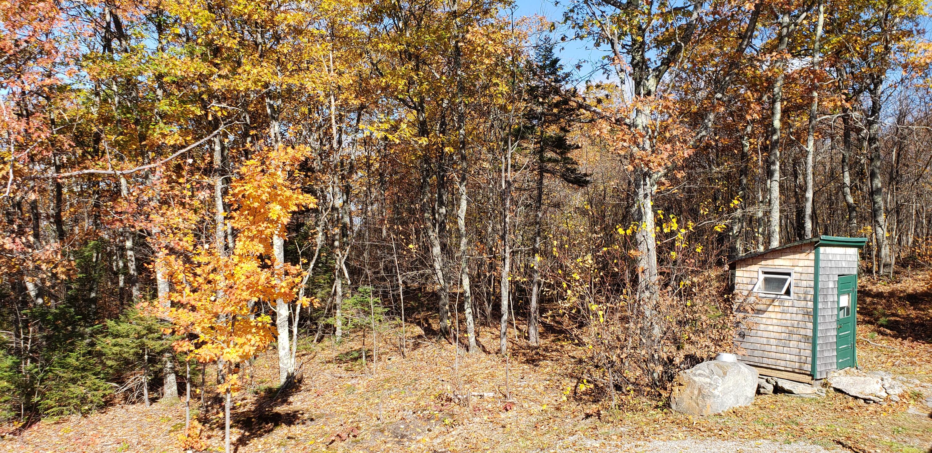 0 Daye Road Bethel, ME 04217 - Photo 31 of 44 Fall with ouths
