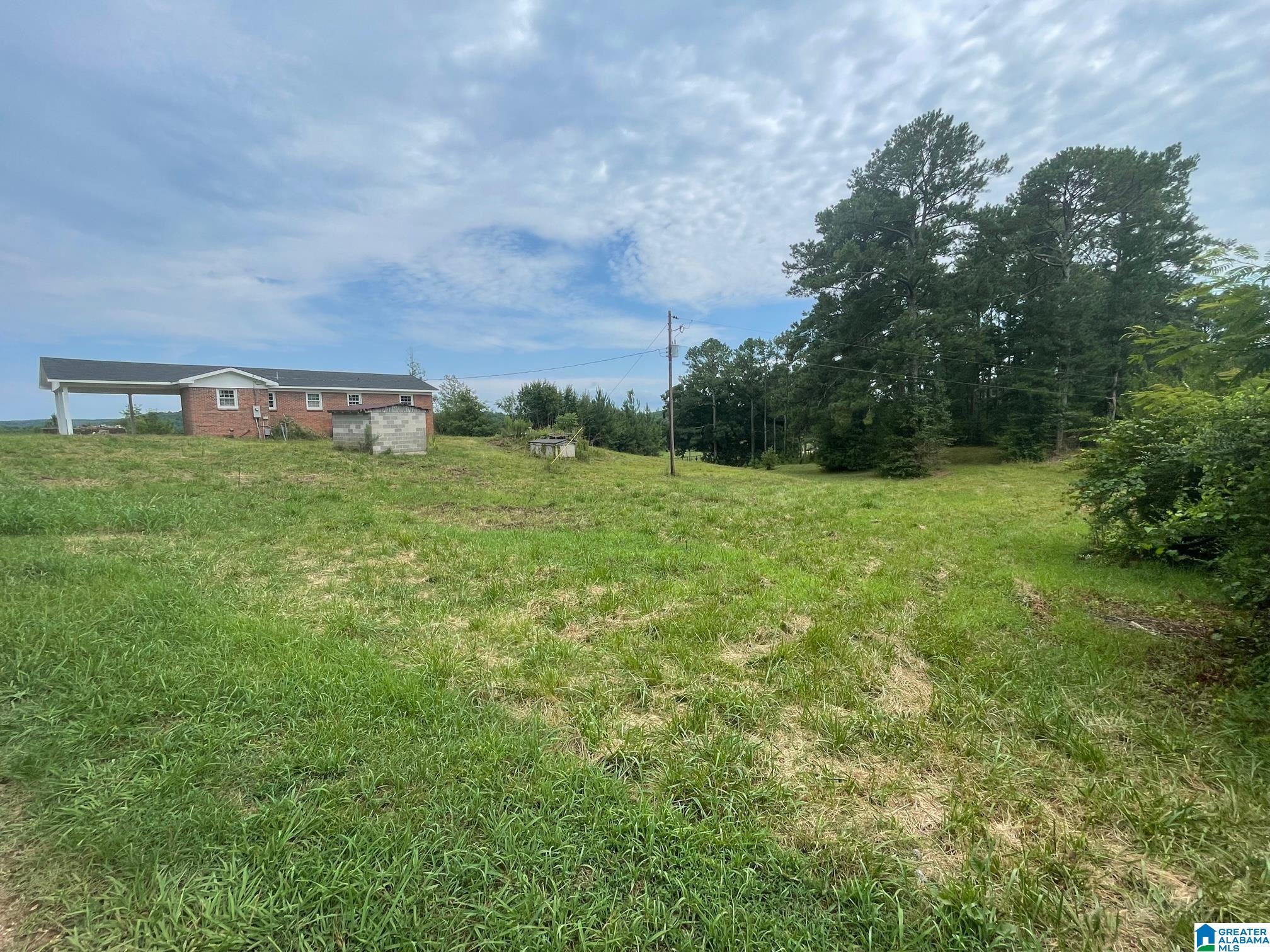 190 Silver Loop Road Columbiana, AL 35051 - Photo 12 of 21