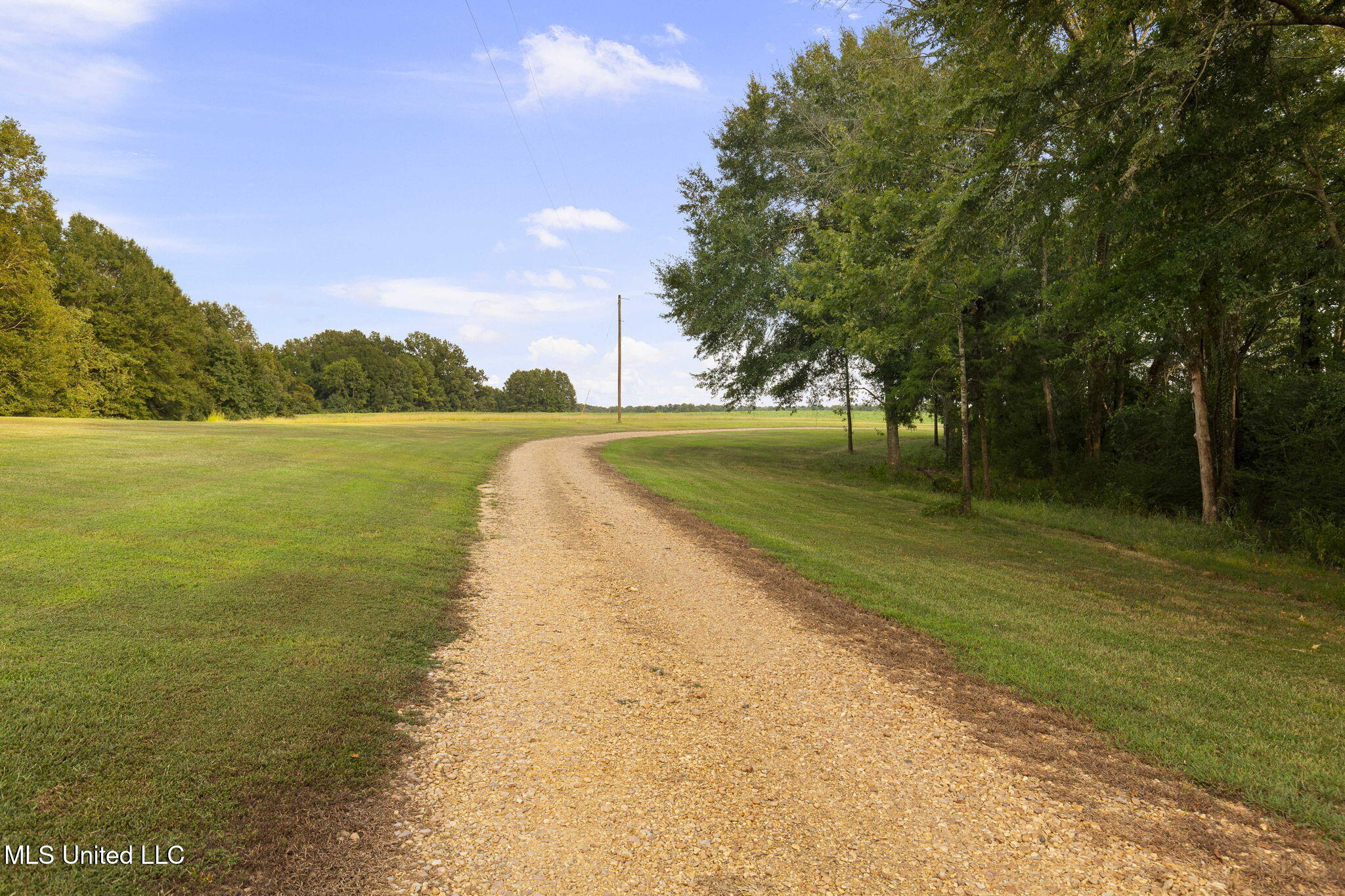 353 Flinco Farms Road Florence, MS 39073 - Photo 75 of 104 3-web-or-mls-353 Flinco Farms-1
