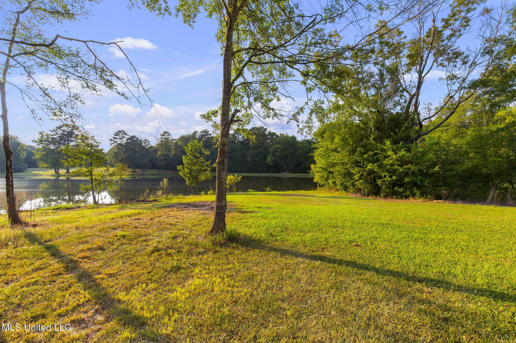 353 Flinco Farms Road Florence, MS 39073 - Photo 83 of 104 101-web-or-mls-353 Flinco Farms-101