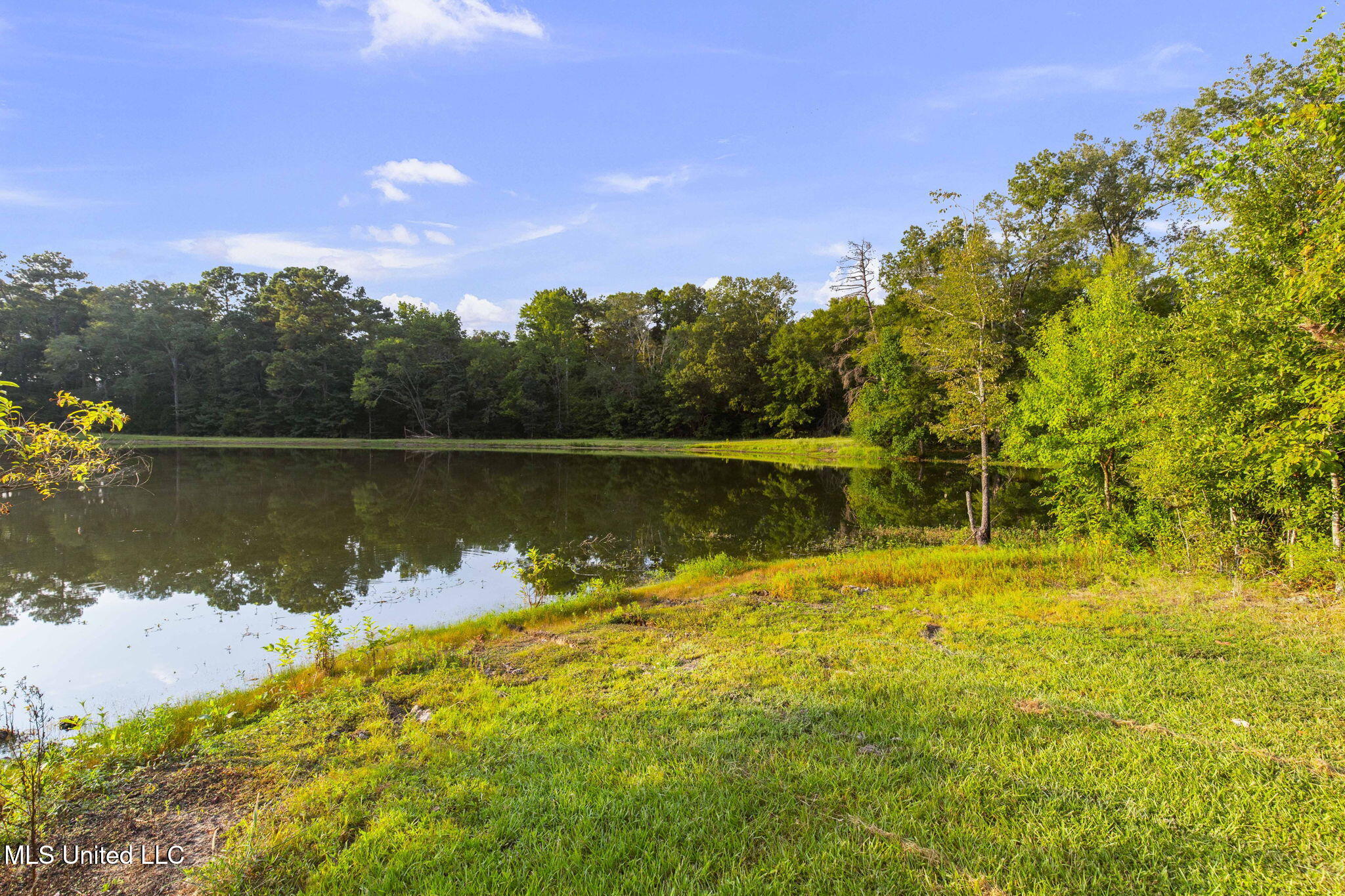 353 Flinco Farms Road Florence, MS 39073 - Photo 84 of 104 102-web-or-mls-353 Flinco Farms-102