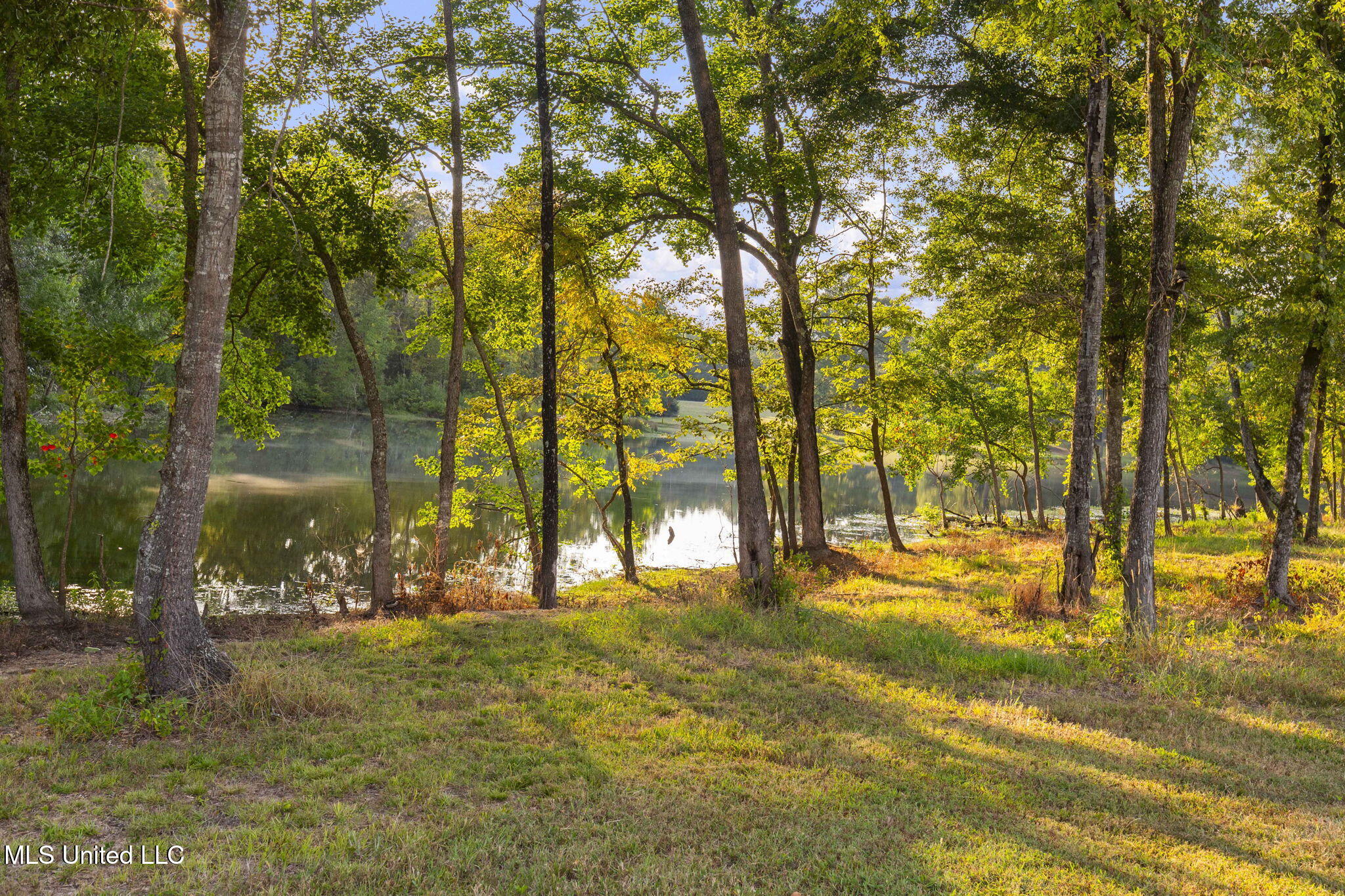 353 Flinco Farms Road Florence, MS 39073 - Photo 85 of 104 108-web-or-mls-353 Flinco Farms-108