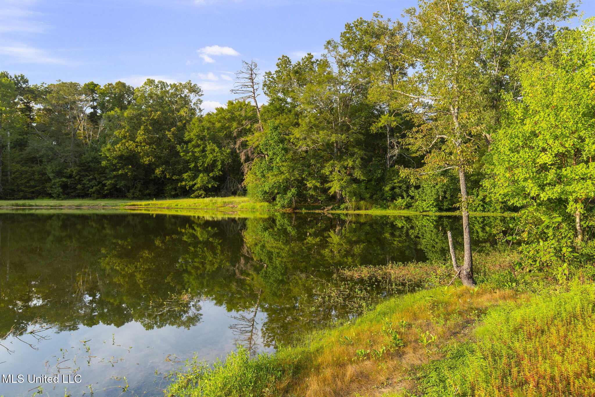 353 Flinco Farms Road Florence, MS 39073 - Photo 86 of 104 103-web-or-mls-353 Flinco Farms-103