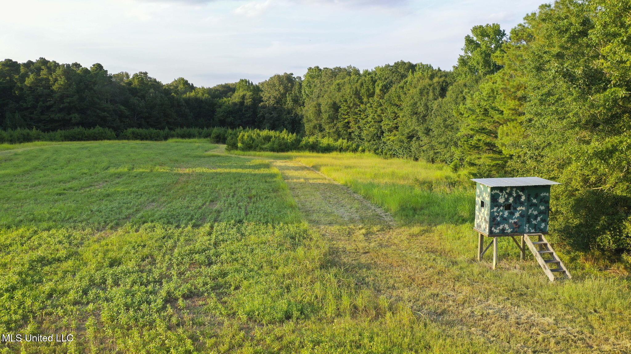 353 Flinco Farms Road Florence, MS 39073 - Photo 95 of 104 130-web-or-mls-353 Flinco Farms-125