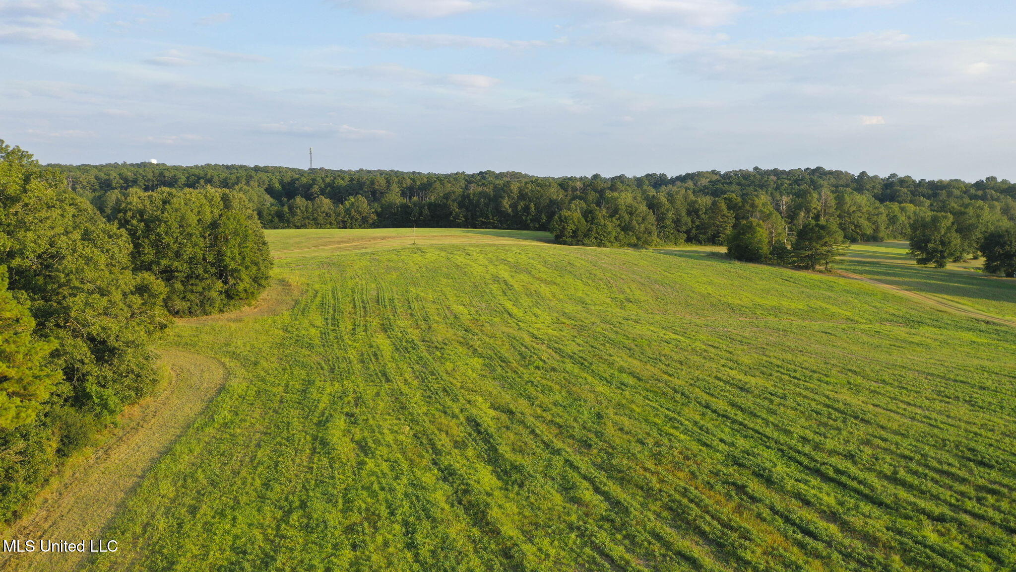 353 Flinco Farms Road Florence, MS 39073 - Photo 96 of 104 132-web-or-mls-353 Flinco Farms-127