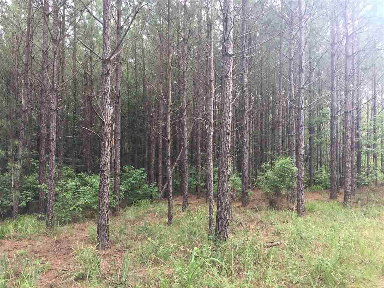 1 Cain Road Wesson, MS 39191 - Photo 2 of 10 Photo 2