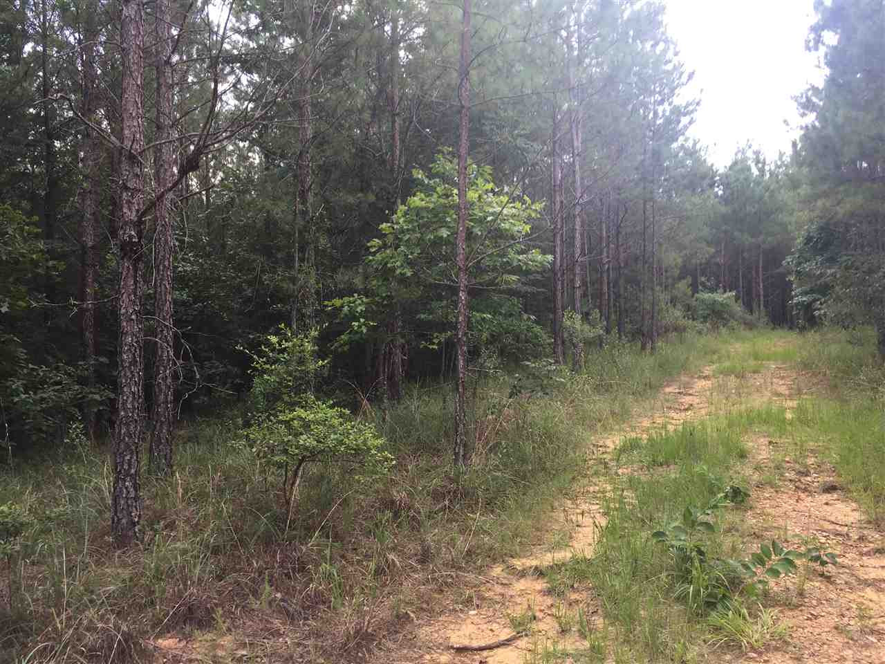 1 Cain Road Wesson, MS 39191 - Photo 3 of 10 Photo 3