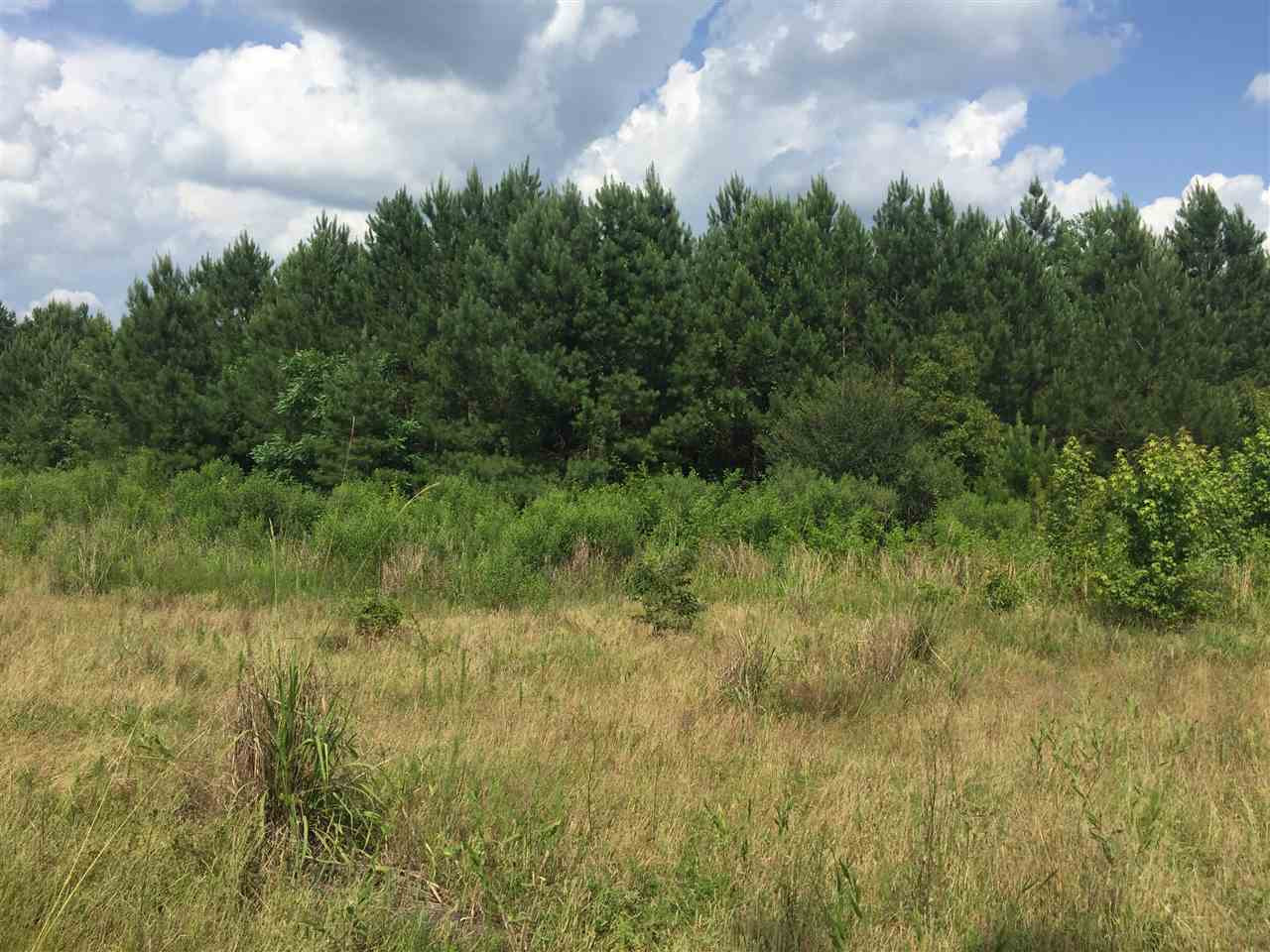 1 Cain Road Wesson, MS 39191 - Photo 4 of 10 Photo 4