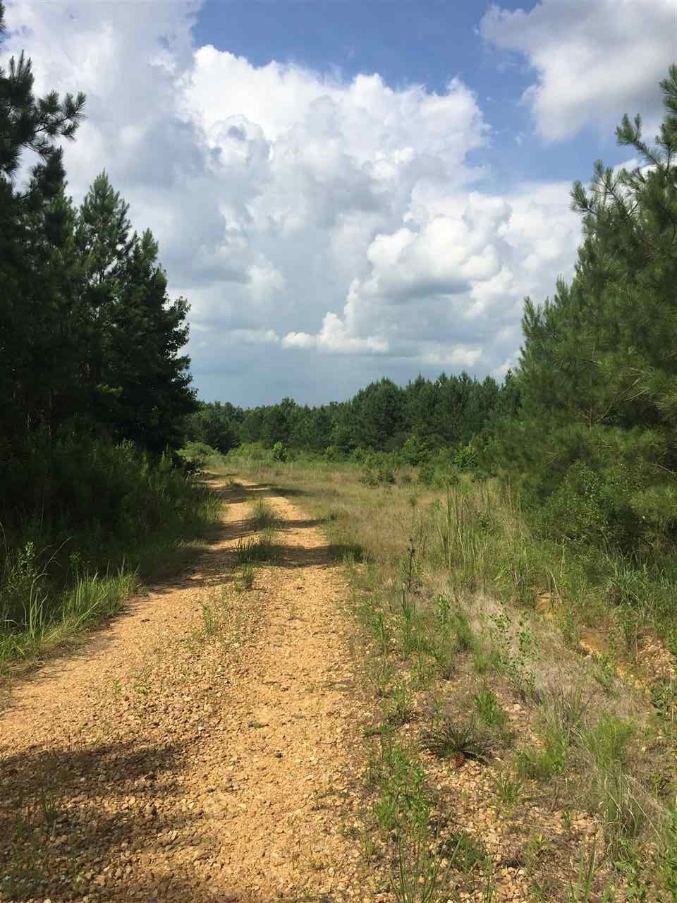1 Cain Road Wesson, MS 39191 - Photo 5 of 10 Photo 5
