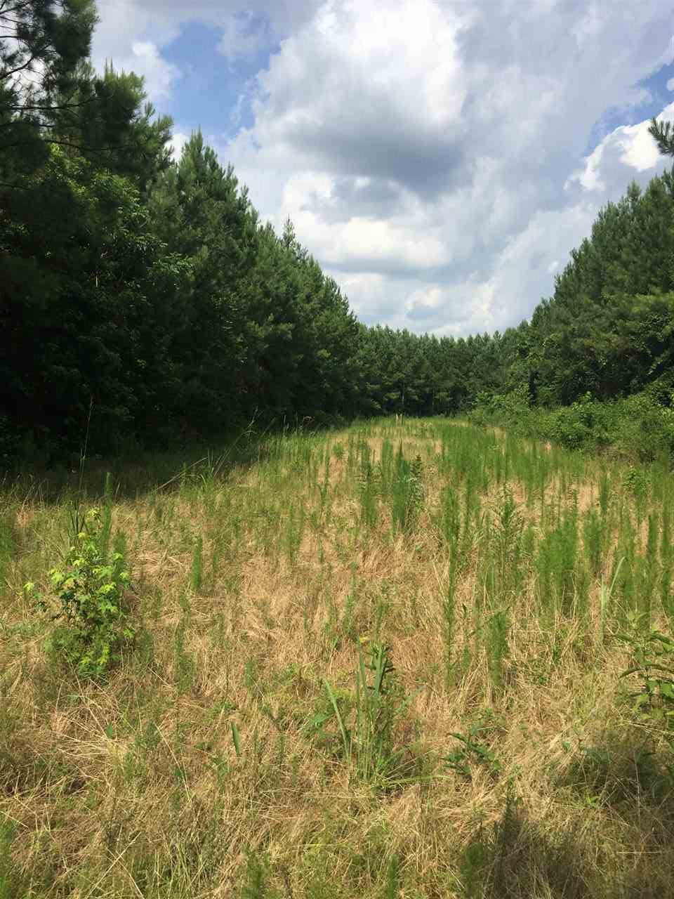 1 Cain Road Wesson, MS 39191 - Photo 6 of 10 Photo 6