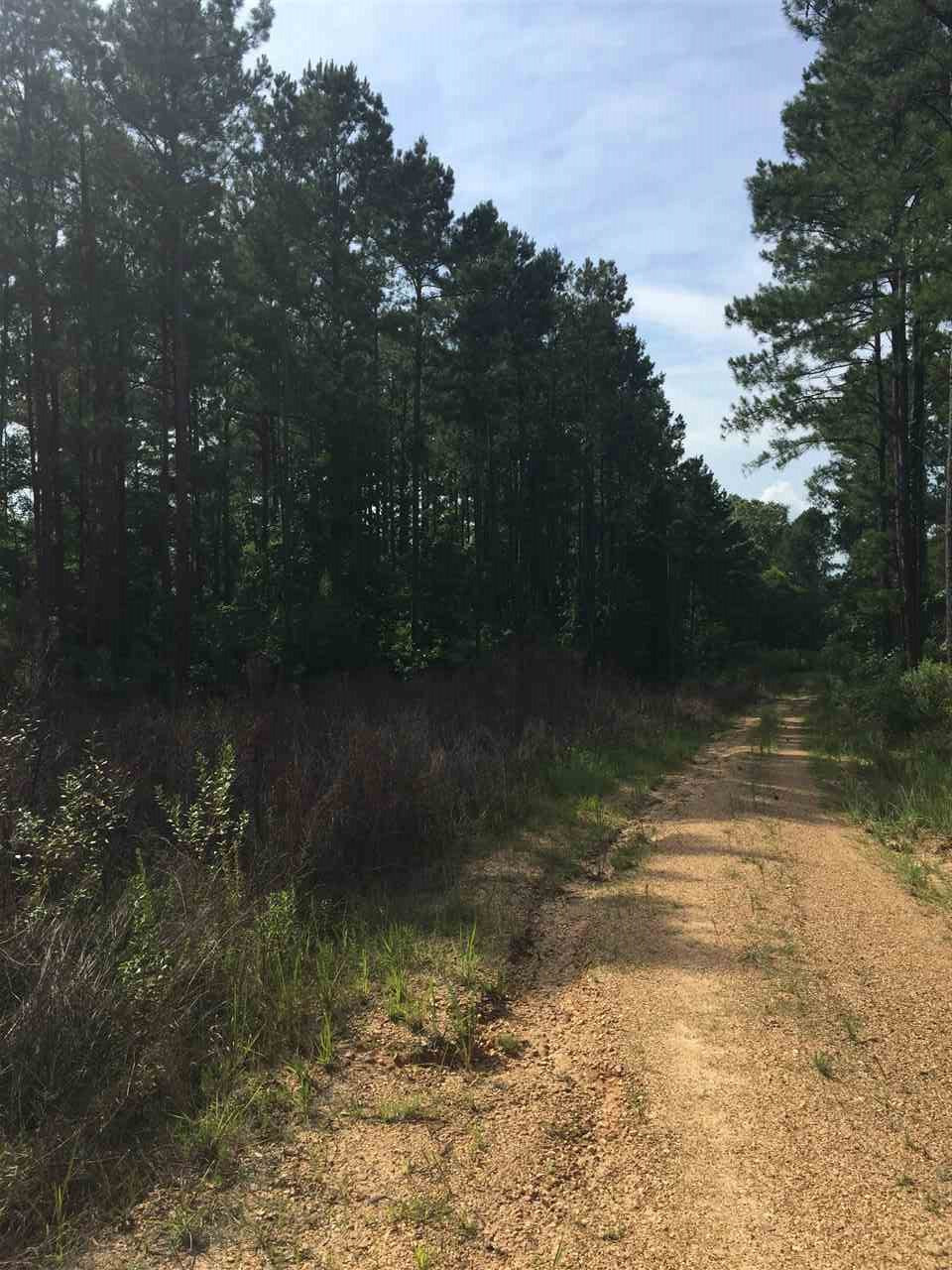 1 Cain Road Wesson, MS 39191 - Photo 7 of 10 Photo 7