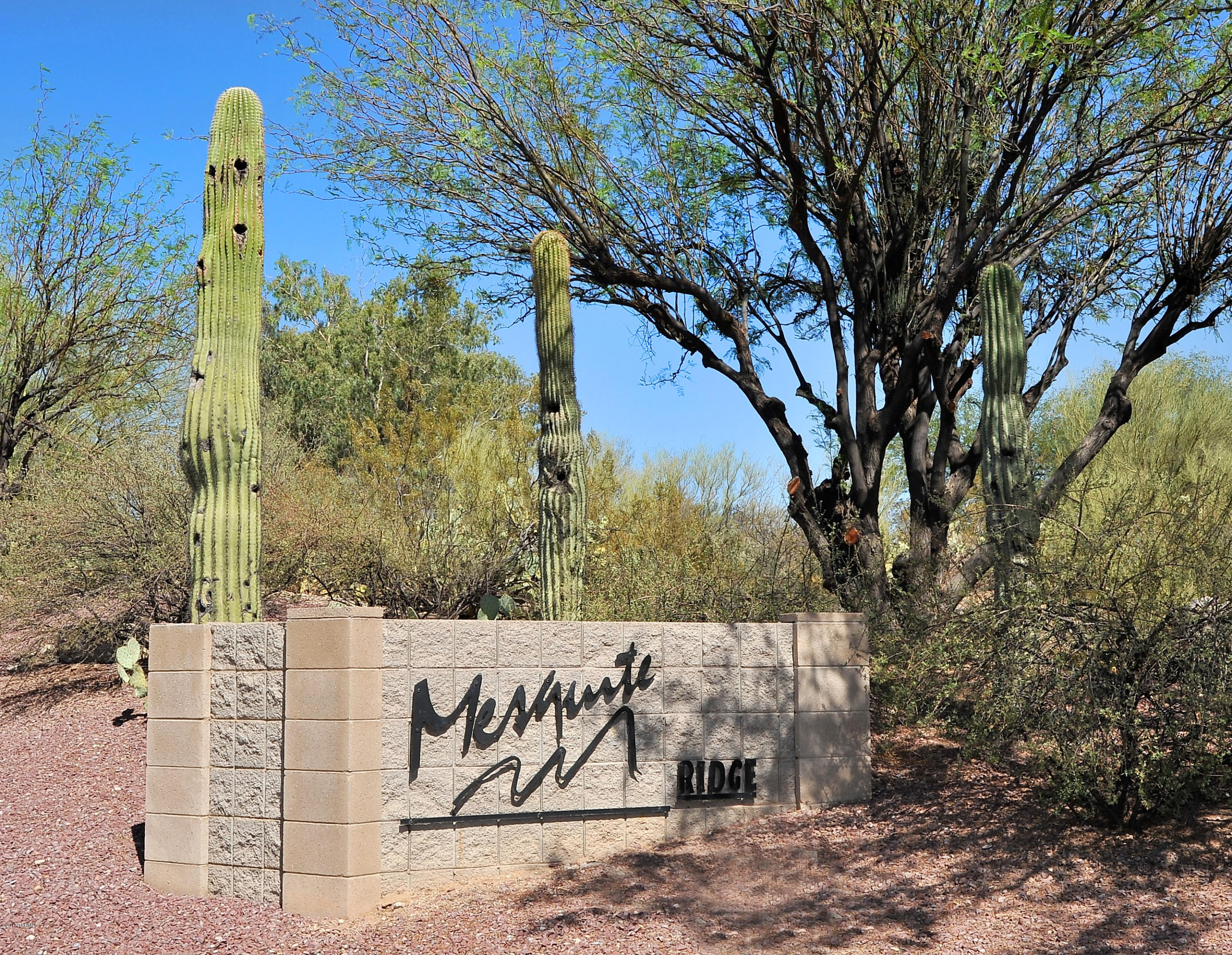 8206 East Mesquite Ridge Circle Tucson, AZ 85710 - Photo 40 of 42