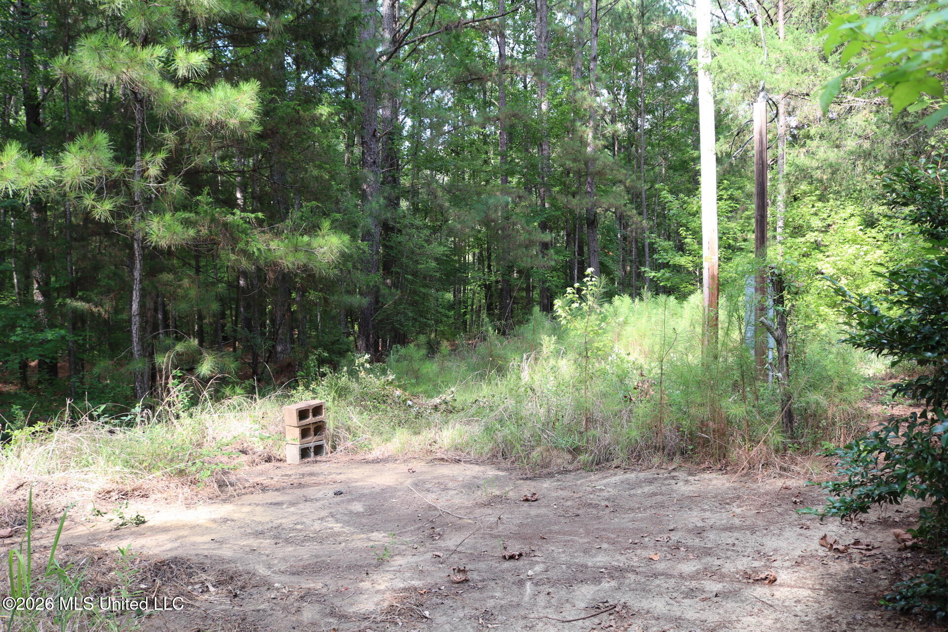 2026 Stump Bridge Road Camden, MS 39045 - Photo 12 of 18 IMG_5701