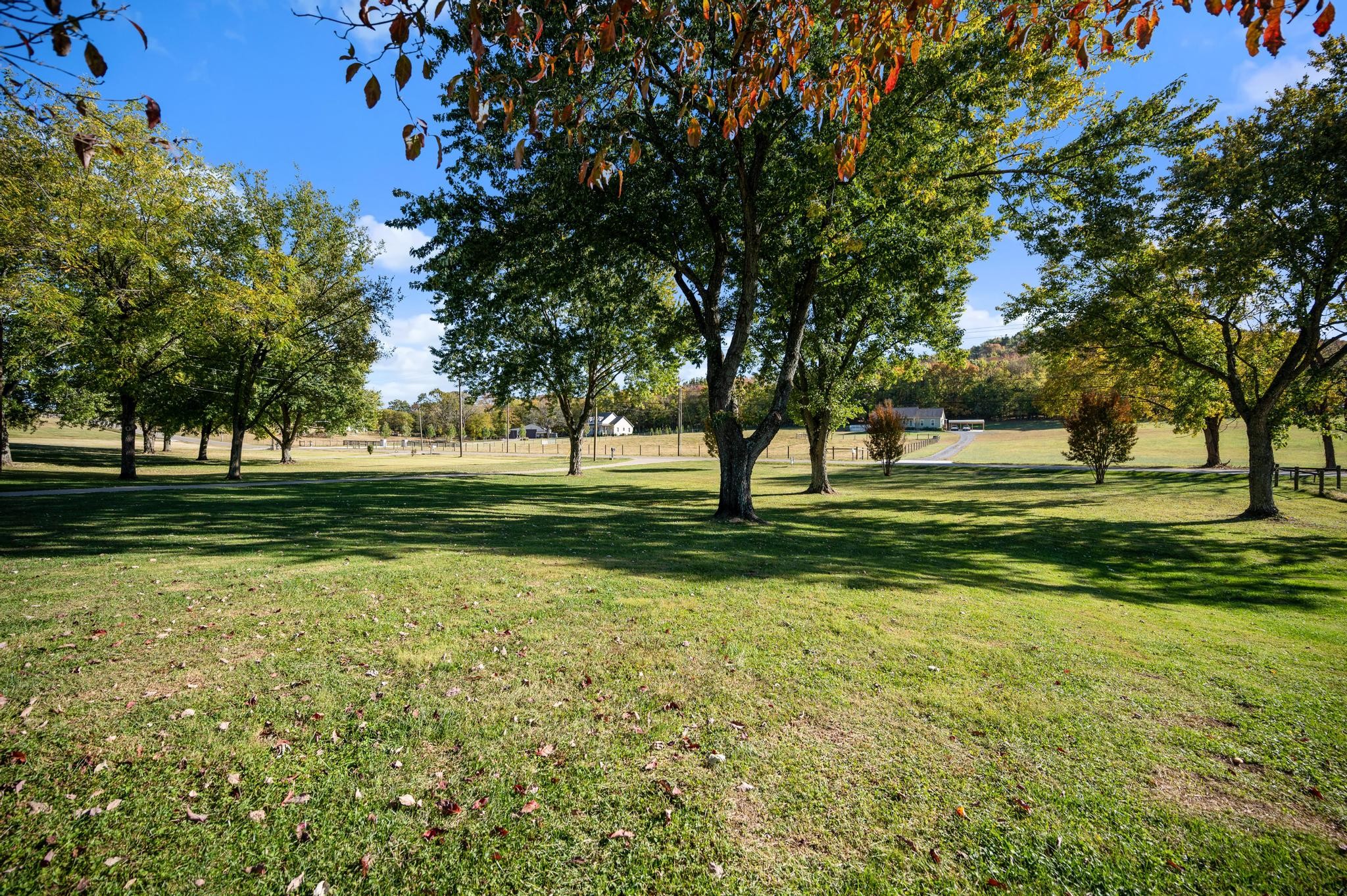 1586 Allisona Road Eagleville, TN 37060 - Photo 3 of 55 Gallery Image 3