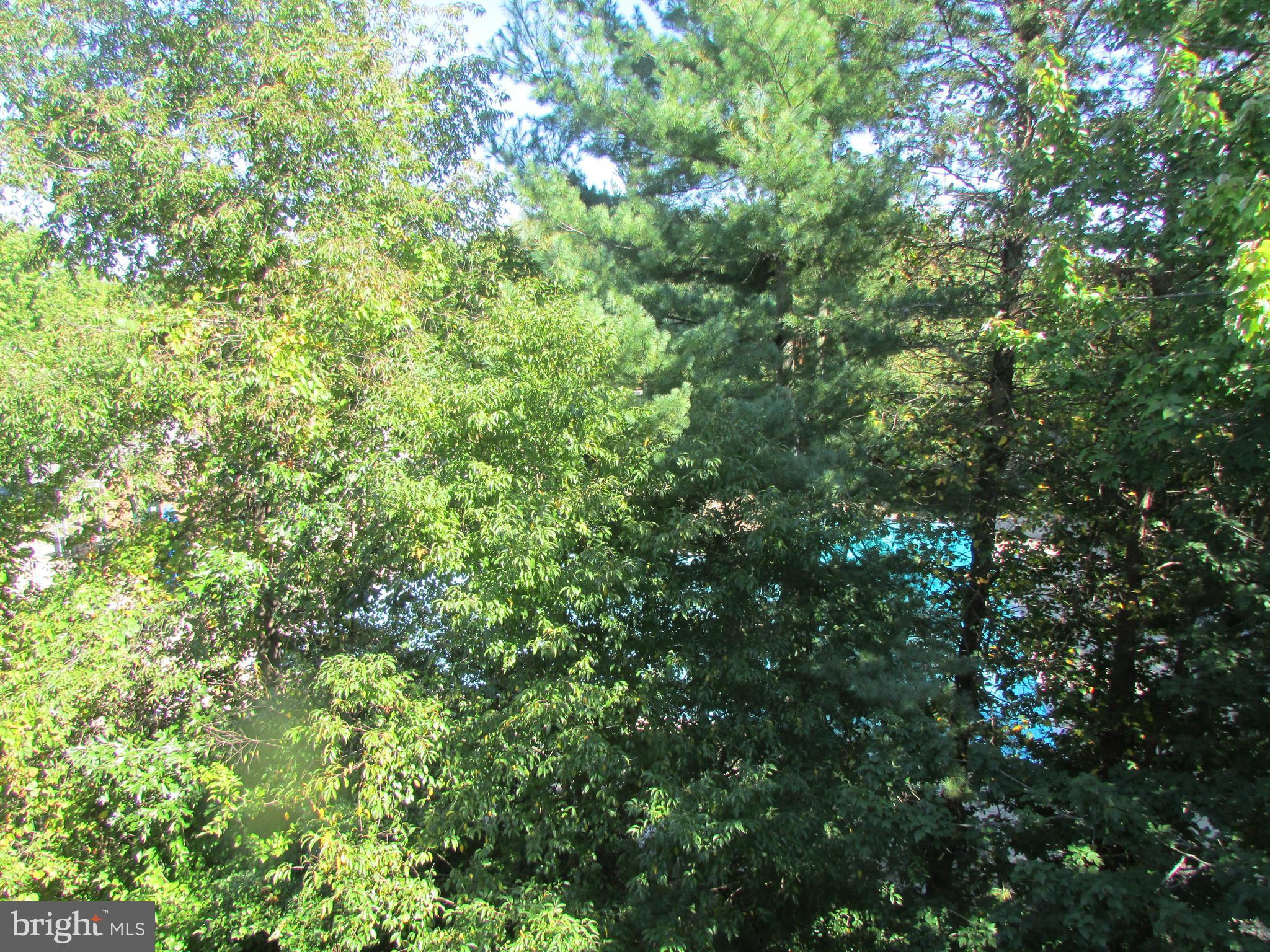 7703 Lexton Place, Unit 34 Springfield, VA 22152 - Photo 19 of 28 View