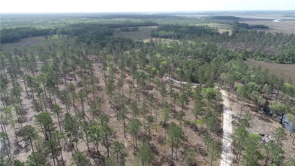 $1,500,000 | 3009 Horse Stamp Church Road, Waverly, GA 31565