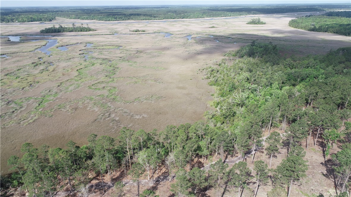 3009 Horse Stamp Church Road Waverly, GA 31565 - Photo 2 of 5