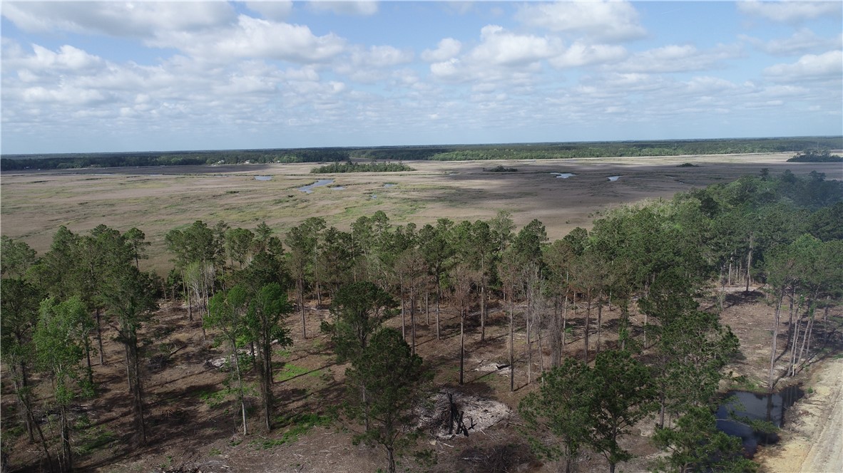3009 Horse Stamp Church Road Waverly, GA 31565 - Photo 3 of 5
