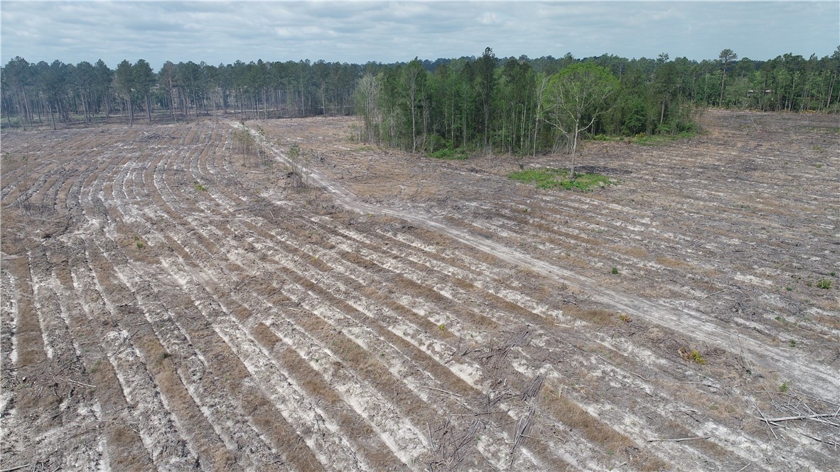 3009 Horse Stamp Church Road Waverly, GA 31565 - Photo 4 of 5