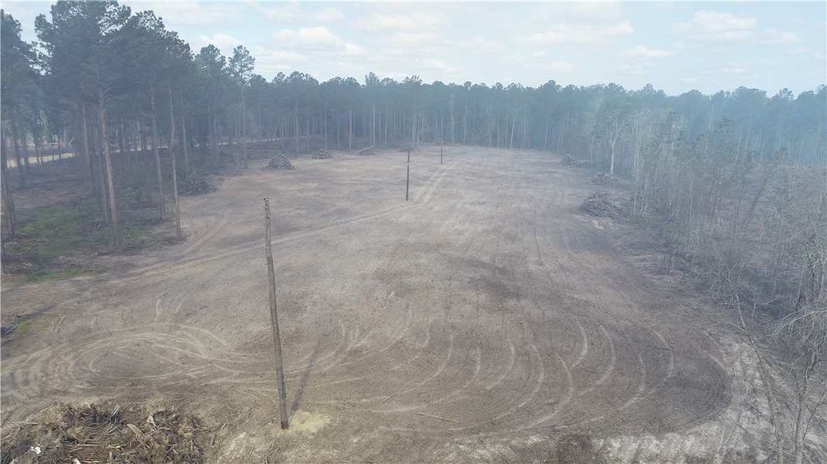 3009 Horse Stamp Church Road Waverly, GA 31565 - Photo 5 of 5