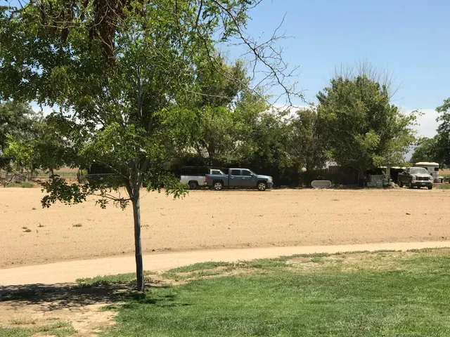 a house with trees in the background