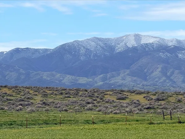 a view of a house with a big yard and large trees