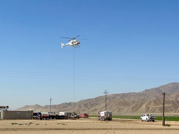 a view of a big yard with an trees