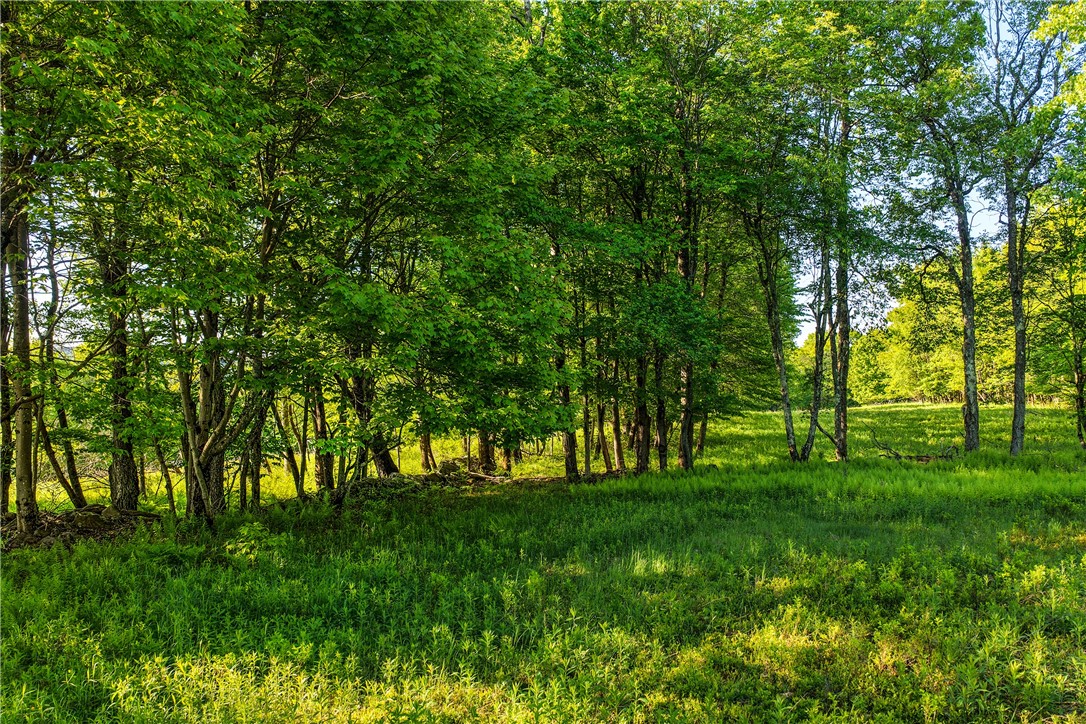 19-22 25 Frank Slawson Road Oneonta, NY 13820 - Photo 25 of 30