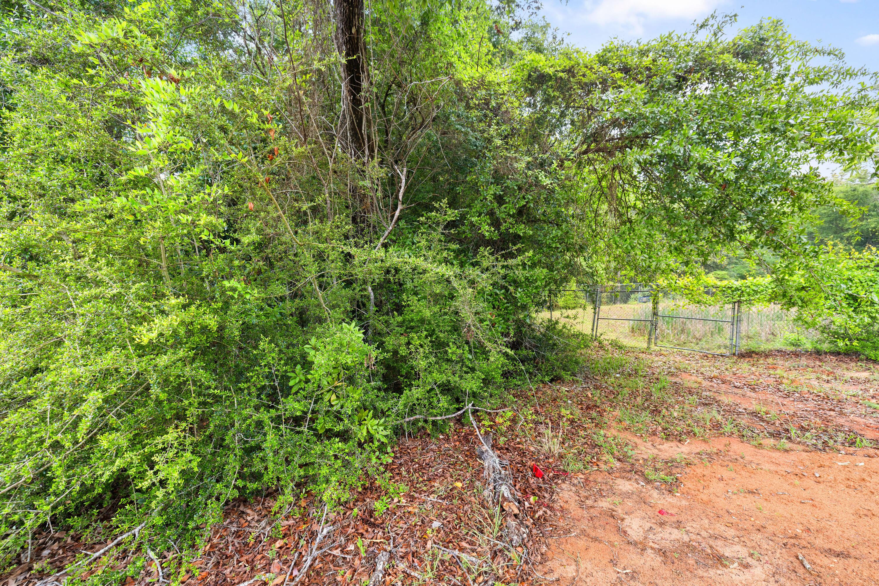 . Sam Carver Road Crestview, FL 32536 - Photo 23 of 27 SamCarverRdLand-Crestview-FL-023