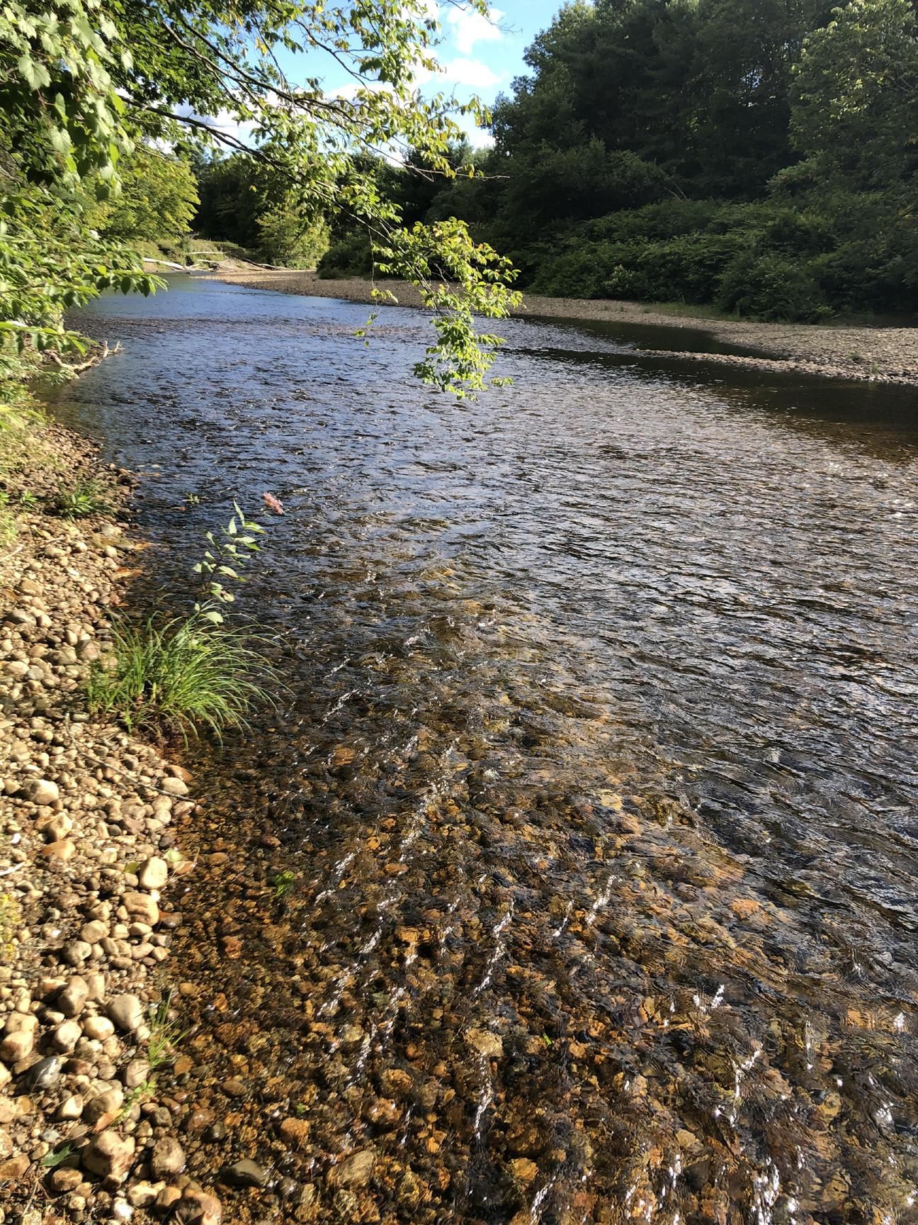 2425 Buffalo Road, Unit A Rumney, NH 03266 - Photo 3 of 24