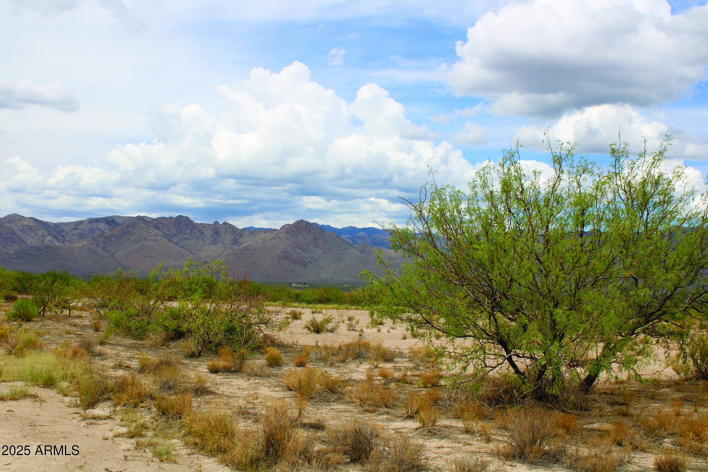 40.98-acre East Many Wells Road, Unit 32 San Simon, AZ 85632 - Photo 15 of 31