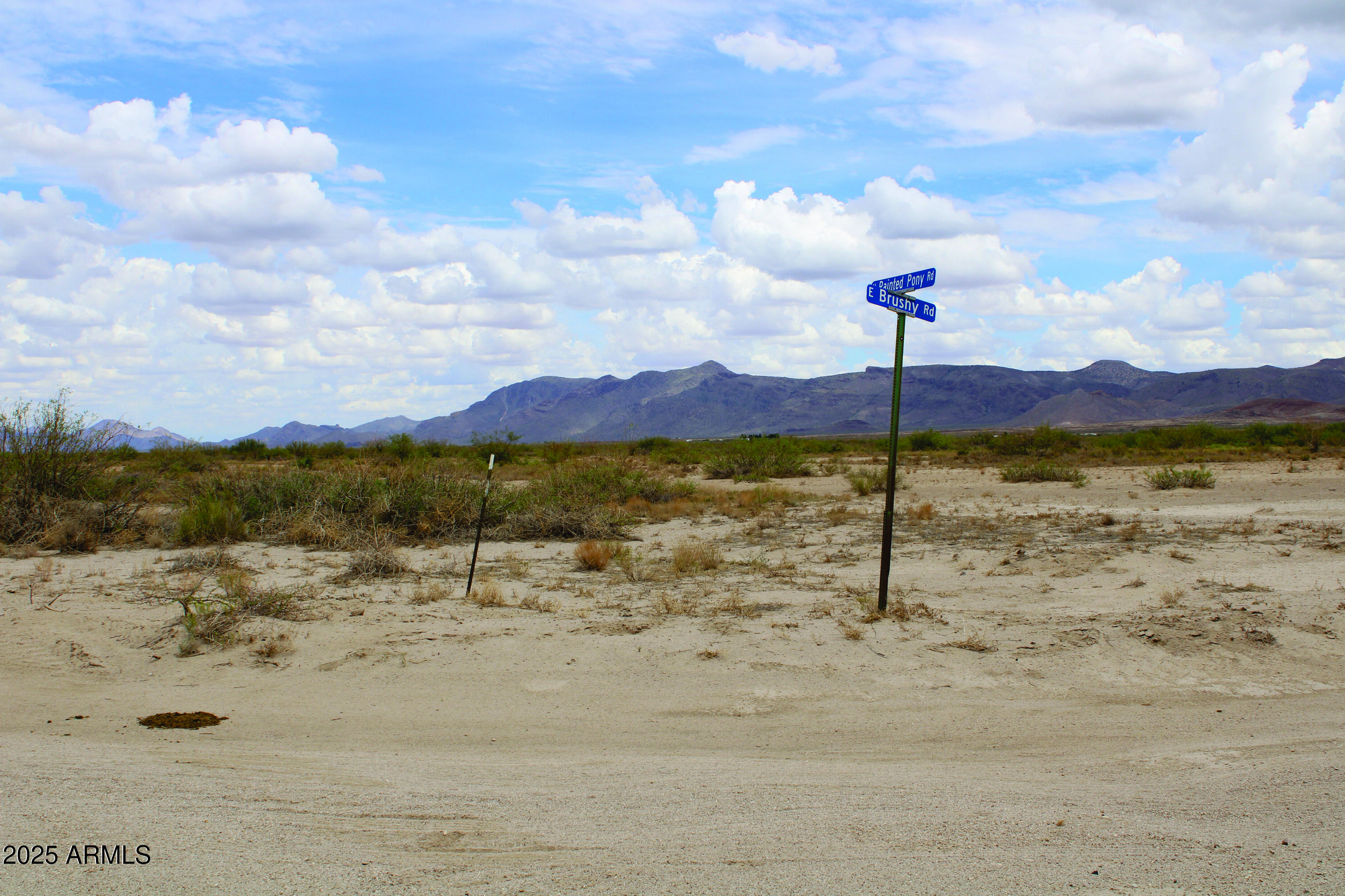 40.98-acre East Many Wells Road, Unit 32 San Simon, AZ 85632 - Photo 24 of 31 a view of a lake with a mountain