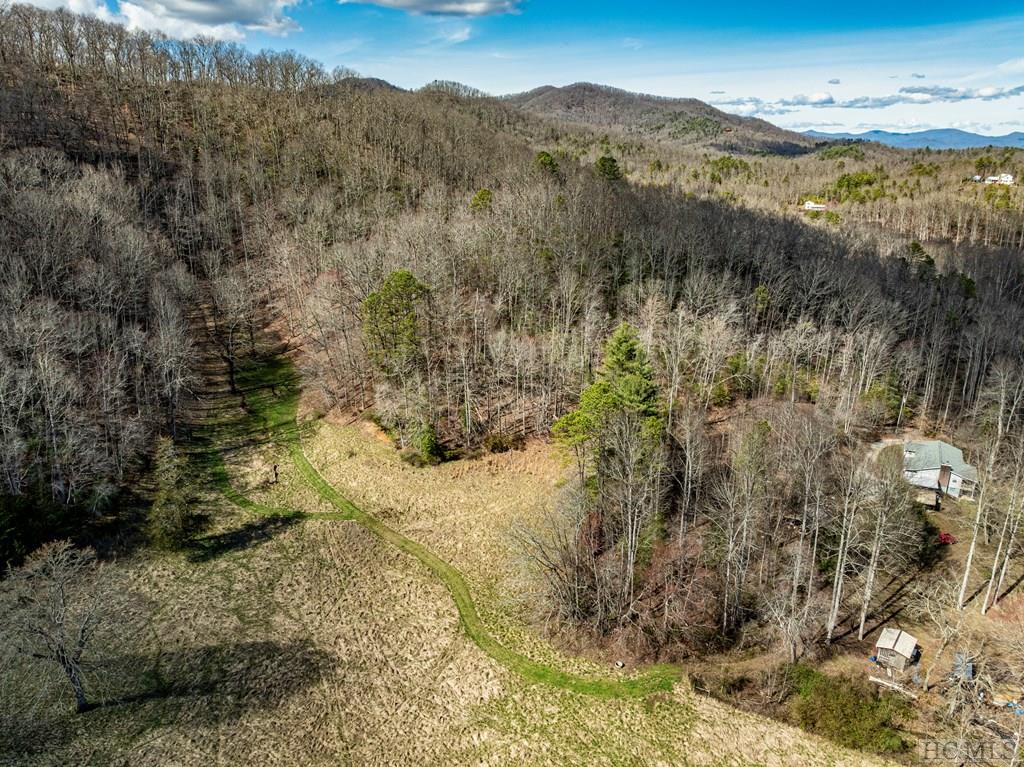 1806 Coweeta Lab Road Otto, NC 28763 - Photo 35 of 39 Gallery Image 35