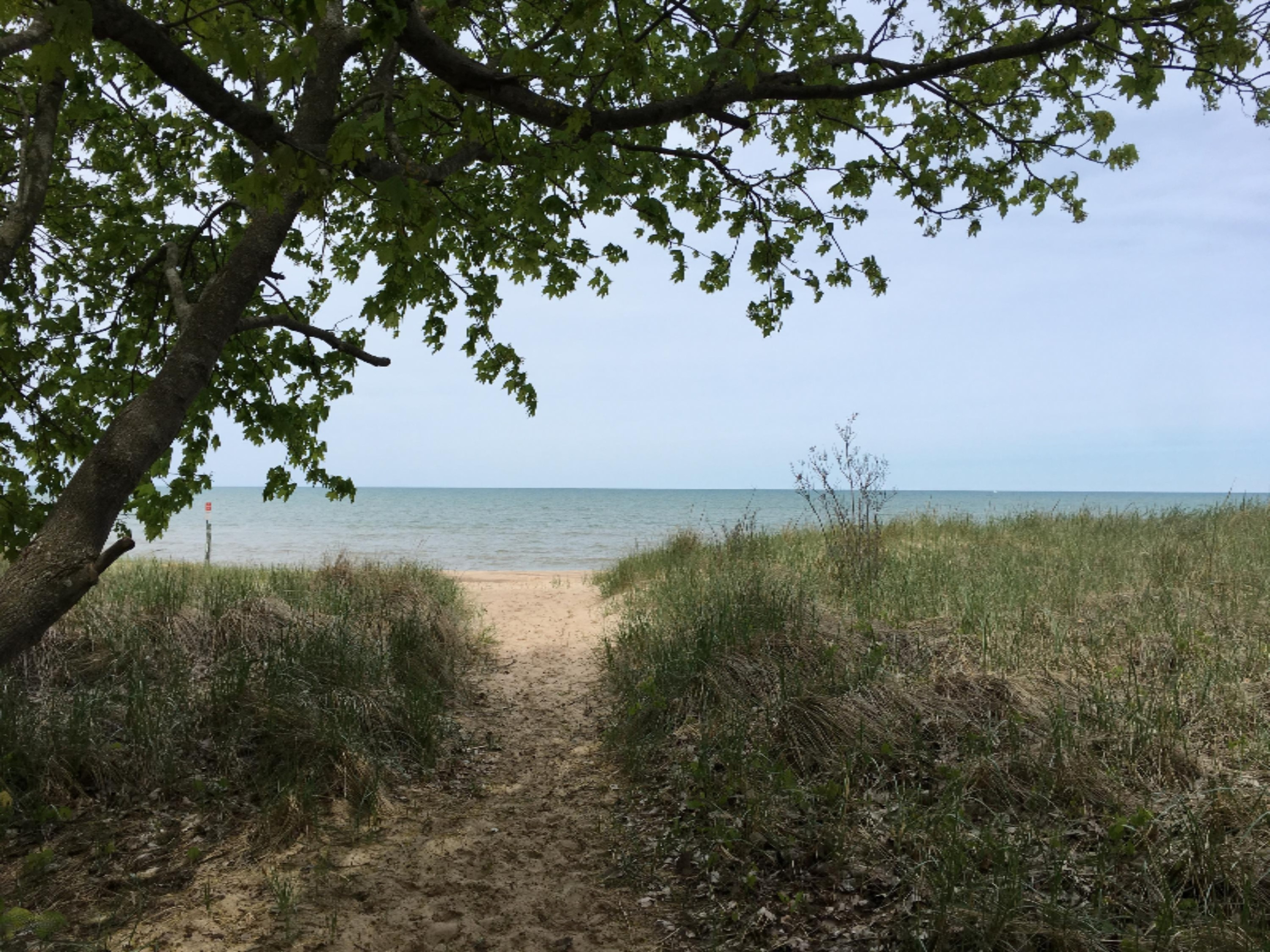 15093 Lakeshore Road Lakeside, MI 49116 - Photo 29 of 31 IMG_4547